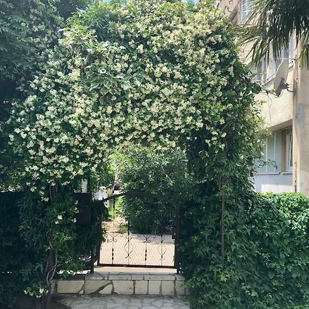 Kuca Za Odmor Mala Tea 펜션